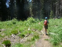 YosemiteCreek 082 : YosemiteCreek